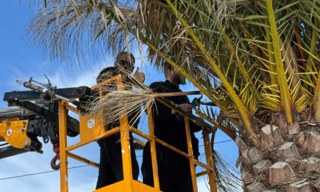 Κάθε μέρα στις 16:00μ.μ. η κατασκευή της πολυαιώνιας παράδοσης των Μυκονιάτικων Βαΐων