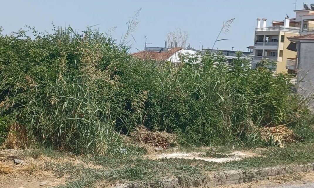 Όλα όσα πρέπει να γνωρίζετε για τον υποχρεωτικό καθαρισμό οικοπέδων από την 1η Απριλίου