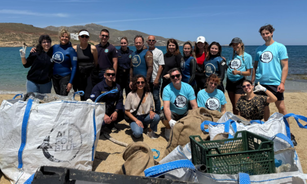 Ενας τόνος απορρίμματα συλλέχθηκε στην Μύκονο από δράση της All For Blue