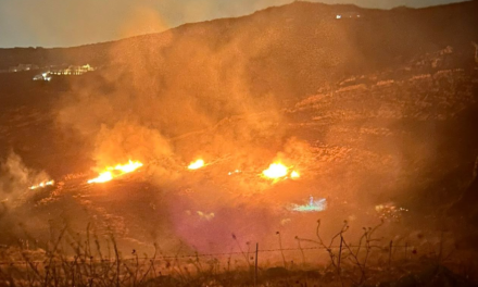 ΔΥΟ ΠΥΡΚΑΓΙΕΣ ΑΠΟ ΕΜΠΡΙΣΜΟ ΣΕ ΔΙΑΣΤΗΜΑ ΔΥΟ ΗΜΕΡΩΝ – ΑΜΕΣΗ ΑΝΤΑΠΟΚΡΙΣΗ ΤΗΣ ΠΥΡΟΣΒΕΣΤΙΚΗΣ