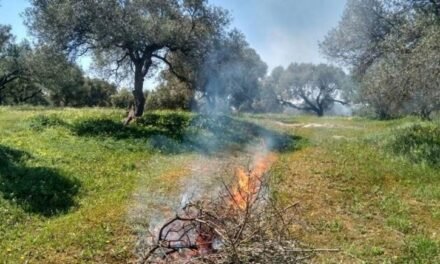 Σύρος: Τσουχτερό πρόστιμο για παράνομη καύση
