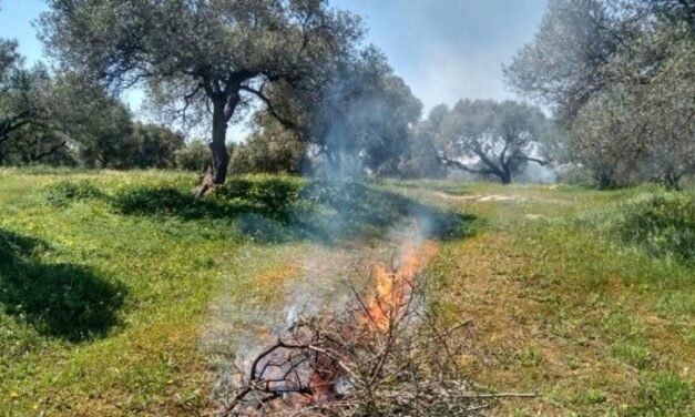 Σύρος: Τσουχτερό πρόστιμο για παράνομη καύση