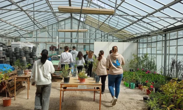 Περιφερειακό Φυτώριο: “Πρασίνισαν” 94 σχολεία των Κυκλάδων