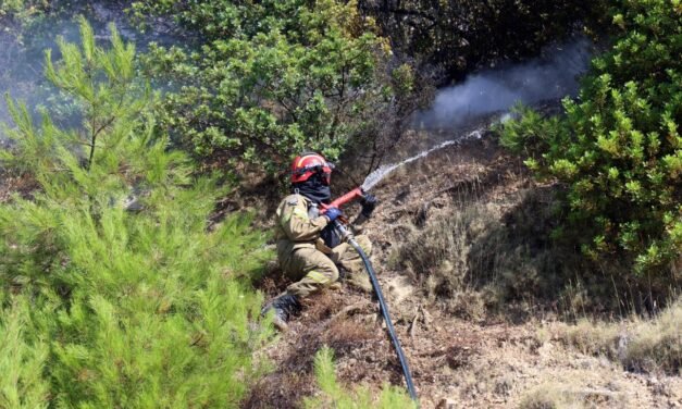 Καλύτερη η εικόνα από τη φωτιά στη Χίο – Μάχη με τις διάσπαρτες εστίες, επιχειρούν 18 εναέρια μέσα
