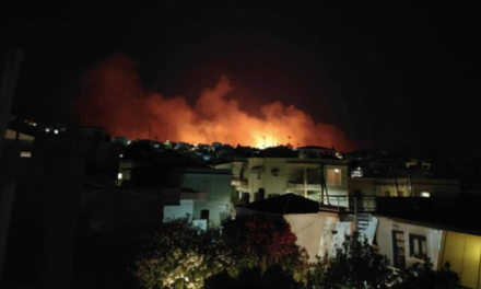 Δύσκολη νύχτα για τη Χίο: Σε απόσταση λίγων μέτρων από τα σπίτια η φωτιά – Μηνύματα από το 112