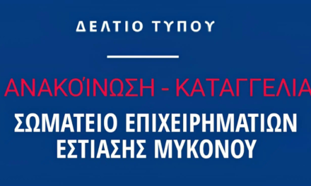 Οργή του Σωματείου Εστίασης στη Μύκονο: «Ανυπολόγιστες ζημιές από το μπλακάουτ – Ζητάμε Αποζημιώσεις από τη ΔΕΗ/ΔΕΔΔΗΕ»