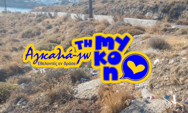 «Αγκαλιά-Ζω τη Μύκονο»: Οι εθελοντές δίνουν ραντεβού στον Άγιο Στέφανο