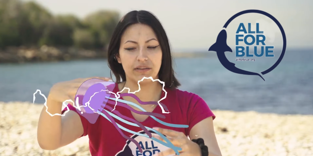 All For Blue: Ενημέρωση για τις Μωβ τσούχτρες στις Ελληνικές θάλασσες (video)