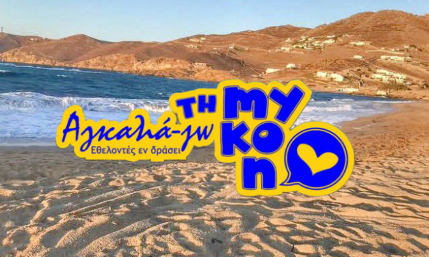 Οι ΕΘΕΛΟΝΤΕΣ ΕΝ ΔΡΑΣΕΙ «αγκαλιάζουν» την Φτελιά με καθαριότητα και αγάπη!