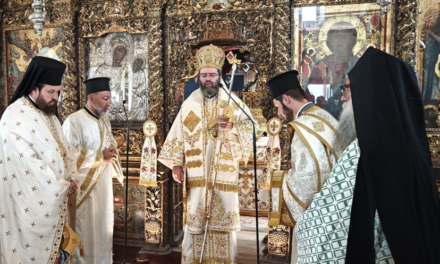 Ο Μητροπολίτης Μαρωνείας στην Ι.Μ. Παναγίας Τουρλιανής Μυκόνου