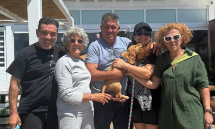 Συνάντηση Αντιδημάρχου Γιώργου Κουσαθανά με Φιλοζωική Οργάνωση Μυκόνου: Ελπίδες για τα Αδέσποτα