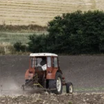 ΟΠΕΚΕΠΕ: Προτεραιότητα η διασταύρωση στοιχείων από την ΑΑΔΕ -Έρχονται έλεγχοι για μέλι και βιολογική κτηνοτροφία