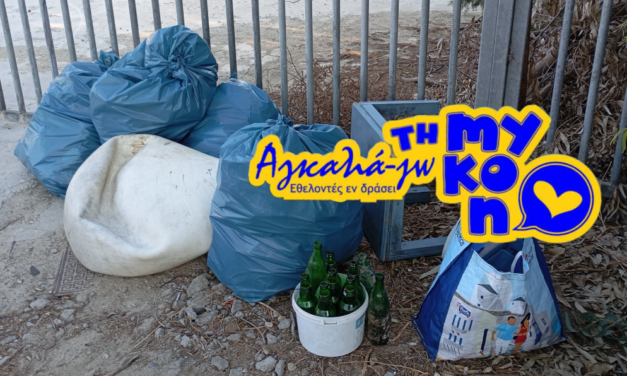 Εθελοντές της ομάδας «Αγκαλια-Ζω τη Μύκονο» καθαρίζουν τον Αγ. Στέφανο