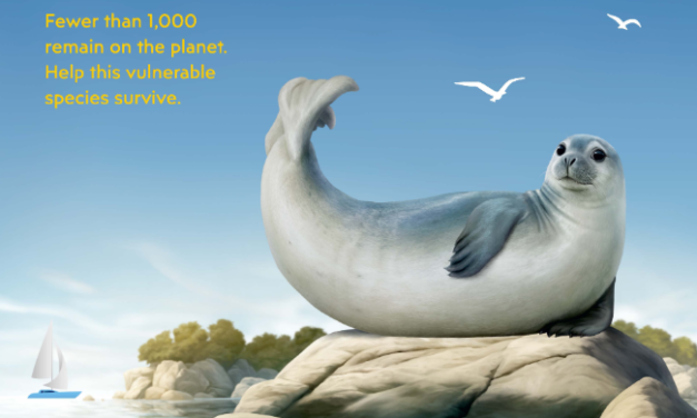 SEAL GREECE | Στην Μύκονο 21 & 22 Αυγούστου  ο επόμενος σταθμός της εκστρατείας για τη Monachus monachus