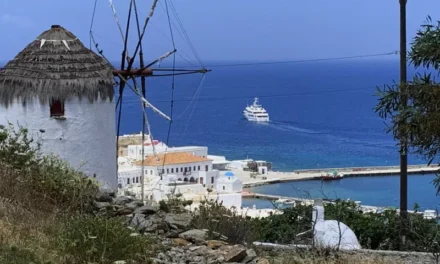 Οικόπεδο – φιλέτο 130 στρεμμάτων στον Πάνορμο Μυκόνου δηλώθηκε ως βοσκοτόπι