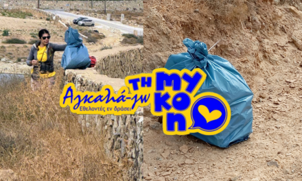 Οικιακά σκουπίδια στο Φράγμα Μαραθίου: Οι εθελοντές καθάρισαν, αλλά ρωτούν «Εκεί καταλήξαμε;»