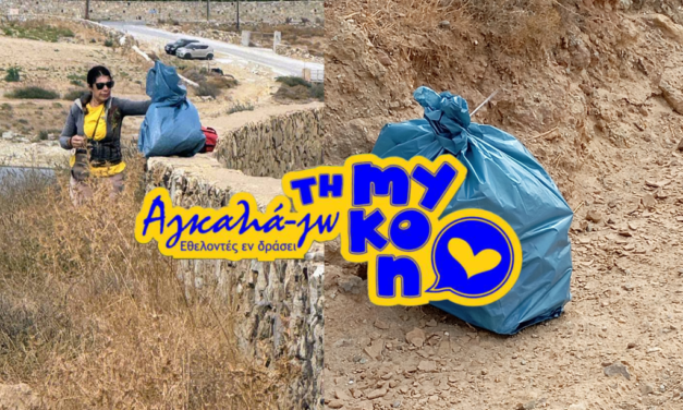 Οικιακά σκουπίδια στο Φράγμα Μαραθίου: Οι εθελοντές καθάρισαν, αλλά ρωτούν «Εκεί καταλήξαμε;»
