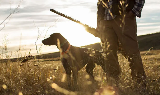Εξετάσεις Νέων Κυνηγών στη Μύκονο: Ραντεβού στις 27 Σεπτεμβρίου
