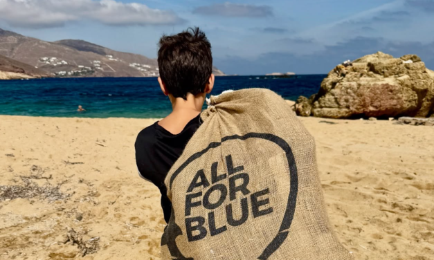 All For Blue και Μαθητές της Μυκόνου απελευθέρωσαν την παραλία Φτελιάς από 312 κιλά απορριμμάτων