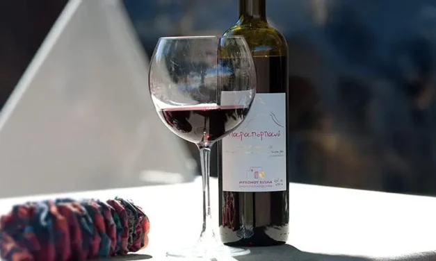 Το νέο στοίχημα οινοτουρισμού στο νησί της Μυκόνου