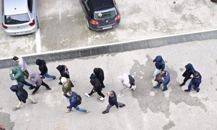 ΟΠΕΚΕΠΕ: Στους 11 οι κρατούμενοι για το κύκλωμα παράνομων επιδοτήσεων, στη φυλακή ακόμη ένας κατηγορούμενος – Ολοκληρώνονται σήμερα οι απολογίες