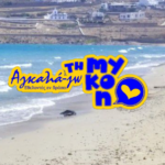 «Αγκαλιά-Ζω τη Μύκονο»: Εθελοντική απόβαση στον Κόρφο για το περιβάλλον και το μέλλον των παιδιών μας