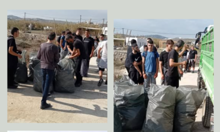 Μαθητές του ΕΠΑΛ Μυκόνου καθάρισαν την Φτελιά: Έμπρακτο Παράδειγμα Περιβαλλοντικής Ευθύνης