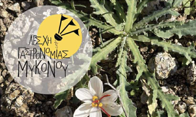 7η Εξόρμηση Λέσχης Γαστρονομίας: Η Μύκονος Ανακαλύπτει τα Άγρια Χόρτα της Φύσης της
