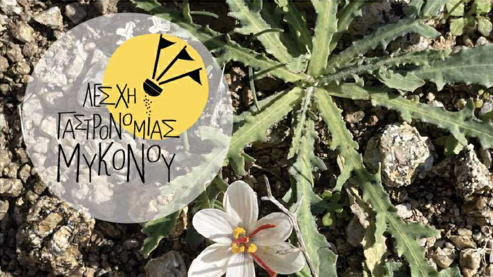 7η Εξόρμηση Λέσχης Γαστρονομίας: Η Μύκονος Ανακαλύπτει τα Άγρια Χόρτα της Φύσης της