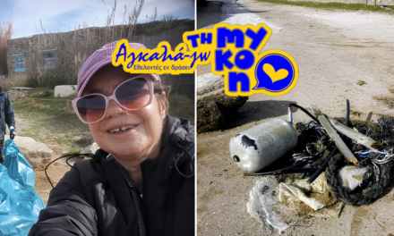 «Αγκαλιά-Ζω τη Μύκονο»: Μισή Ώρα Εθελοντισμού Ήταν Αρκετή για να Αλλάξει η Εικόνα στη Λια