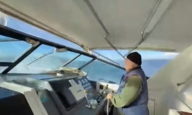 Βίντεο σοκ με διακομιδή 3χρονου από τη Σκιάθο στο Βόλο -«Μάχη» στη θάλασσα