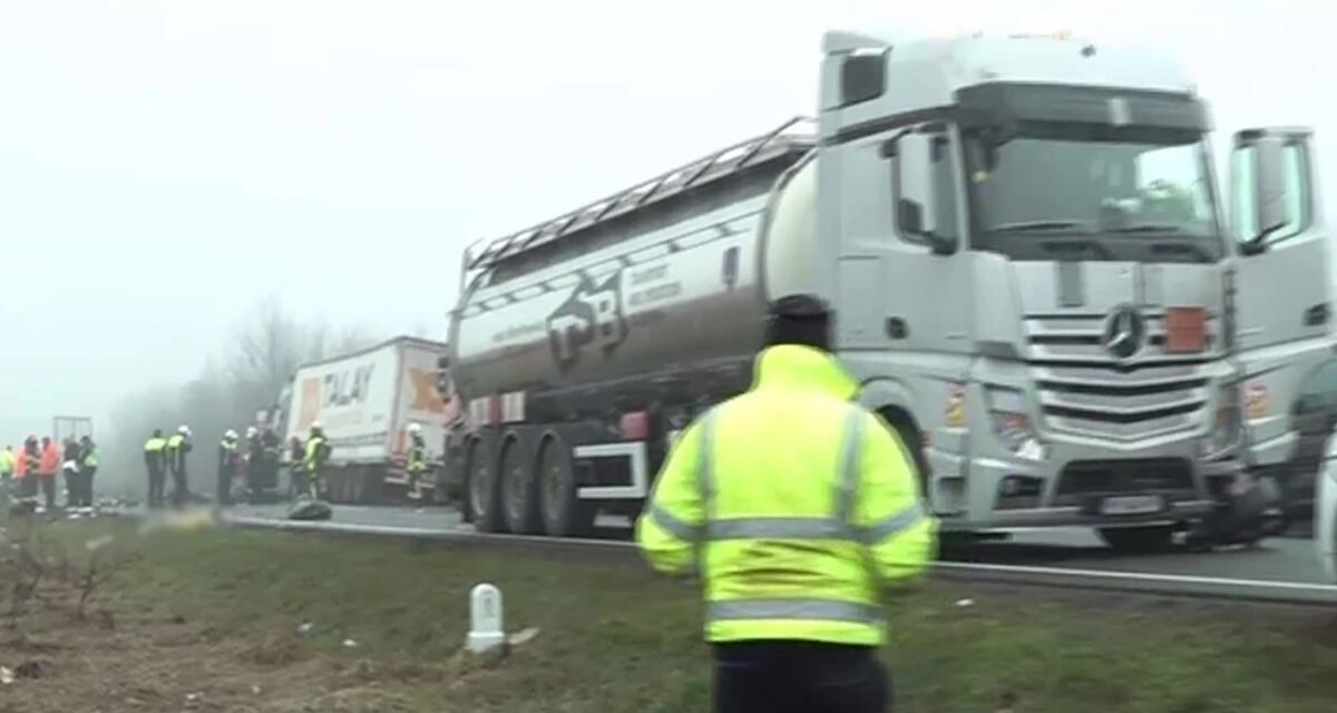 Η απώλεια των 7 φιλάθλων του ΠΑΟΚ στη Ρουμανία ένωσε τον αθλητικό κόσμο της Ελλάδας