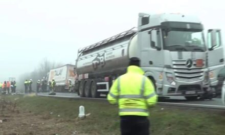 Η απώλεια των 7 φιλάθλων του ΠΑΟΚ στη Ρουμανία ένωσε τον αθλητικό κόσμο της Ελλάδας