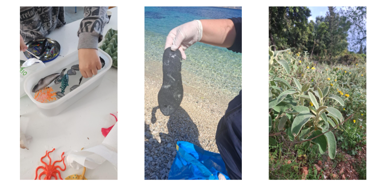 Περιβαλλοντική Εκπαίδευση στη Σάμη: Η Σοφία Χανιώτη και η Δρ. Έμιλυ Στεφανατού Προσφέρουν Δωρεάν «Εργαλείο» Γνώσης για τα Παιδιά