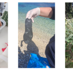 Περιβαλλοντική Εκπαίδευση στη Σάμη: Η Σοφία Χανιώτη και η Δρ. Έμιλυ Στεφανατού Προσφέρουν Δωρεάν «Εργαλείο» Γνώσης για τα Παιδιά