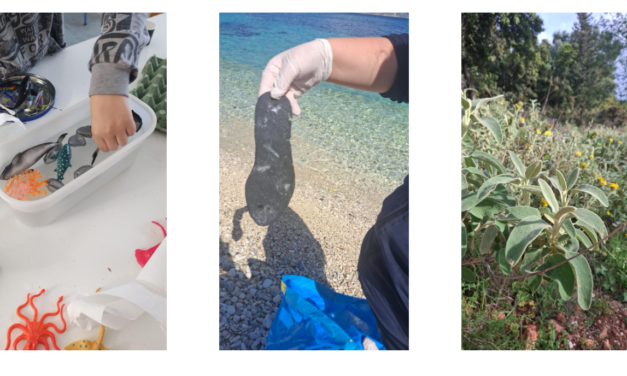 Περιβαλλοντική Εκπαίδευση στη Σάμη: Η Σοφία Χανιώτη και η Δρ. Έμιλυ Στεφανατού Προσφέρουν Δωρεάν «Εργαλείο» Γνώσης για τα Παιδιά