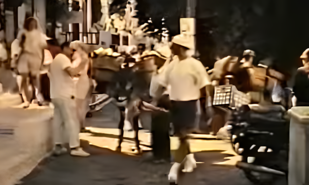 Ένα Βραβευμένο ντοκιμαντέρ  του 1996 για την Μύκονο : “ΣΥΚΑ, ΛΟΥΛΟΥΔΙΑ, ΜΕΛΙΤΖΑΝΕΣ”