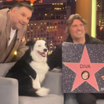 Η Diva του Πέτρου Γιαβρούτα στο «The 2Night Show»: Ένα Viral Φαινόμενο στο Πλατό του Γρηγόρη