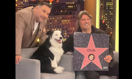 Η Diva του Πέτρου Γιαβρούτα στο «The 2Night Show»: Ένα Viral Φαινόμενο στο Πλατό του Γρηγόρη