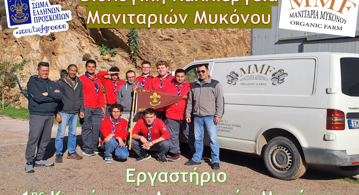 Από το Εργαστήριο στην Τάξη: Οι Ναυτοπρόσκοποι Μυκόνου Διδάσκουν την Καλλιέργεια Μανιταριών στην Άνω Μερά