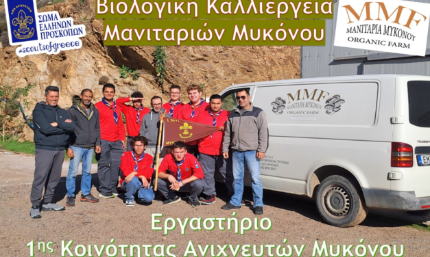 Από το Εργαστήριο στην Τάξη: Οι Ναυτοπρόσκοποι Μυκόνου Διδάσκουν την Καλλιέργεια Μανιταριών στην Άνω Μερά