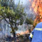 Αντιπυρική περίοδος 2026: Οι τέσσερις απαγορεύσεις και οι προειδοποιήσεις της Πυροσβεστικής