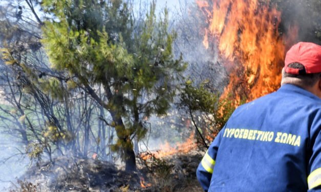 Αντιπυρική περίοδος 2026: Οι τέσσερις απαγορεύσεις και οι προειδοποιήσεις της Πυροσβεστικής