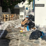 SOS από την Καθαριότητα στη Μύκονο: «Η εικόνα αυτή δεν τιμά κανέναν» – Έρχονται τσουχτερά πρόστιμα για τα σκουπίδια